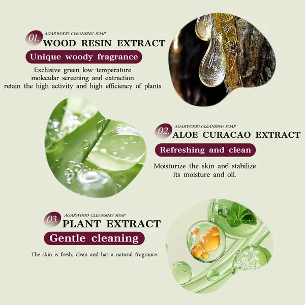Beautyturess Agarwood Purifying Soap (100g)
