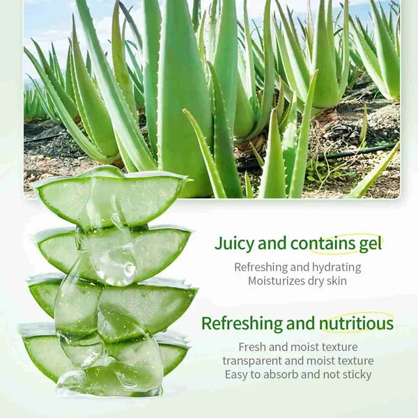 Beautyturess Moisturizing & Hydrating Aloe Vera Gel (500g)